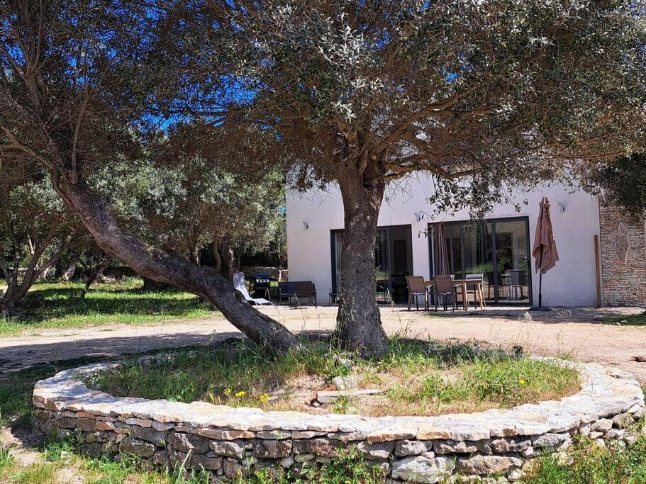 Maison Au Calme Idealement Situee Proche * Bonifacio (Corsica)